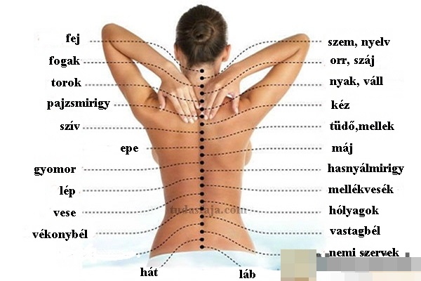 The-Real-Cause-Of-Pain-How-The-Backbone-Is-Connected-With-All-The-Organs