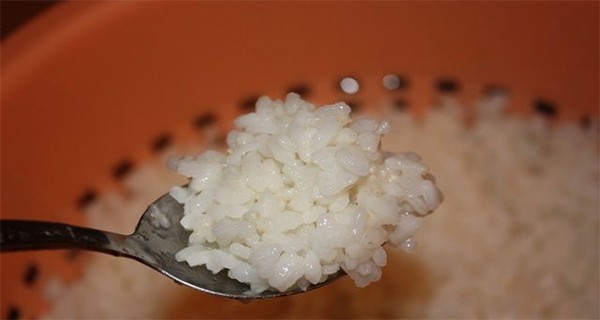 rizs